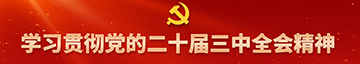 学习贯彻党的二十届三中全会精神